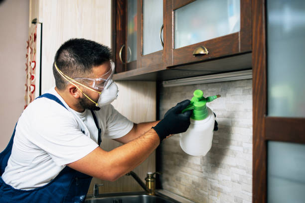 Best Pest Removal Services  in Danville, PA