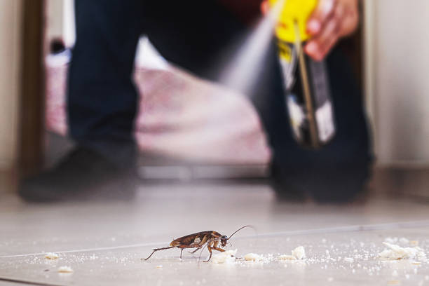 Best Cockroach Control Services  in Danville, PA
